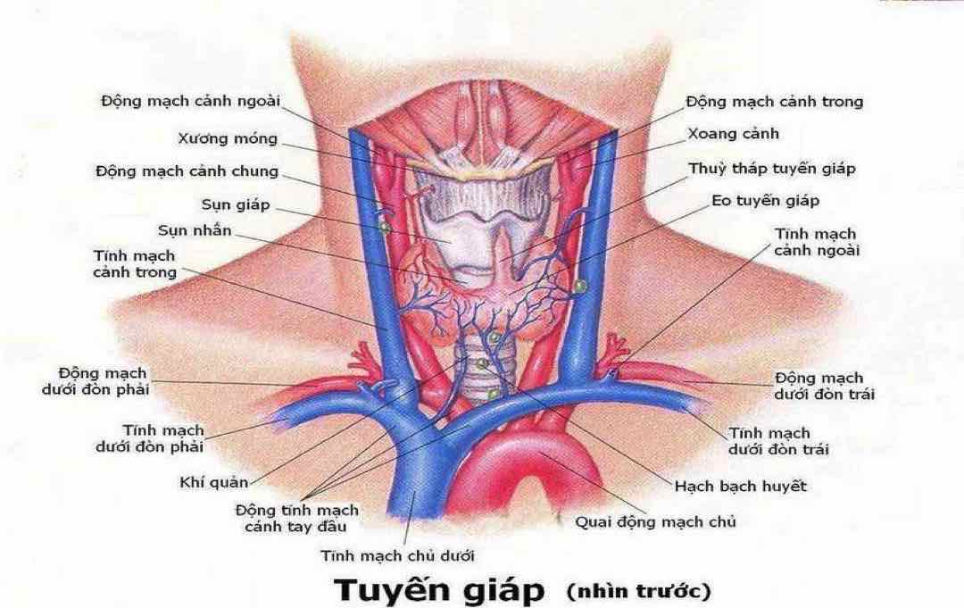 Phẫu thuật tuyến giáp