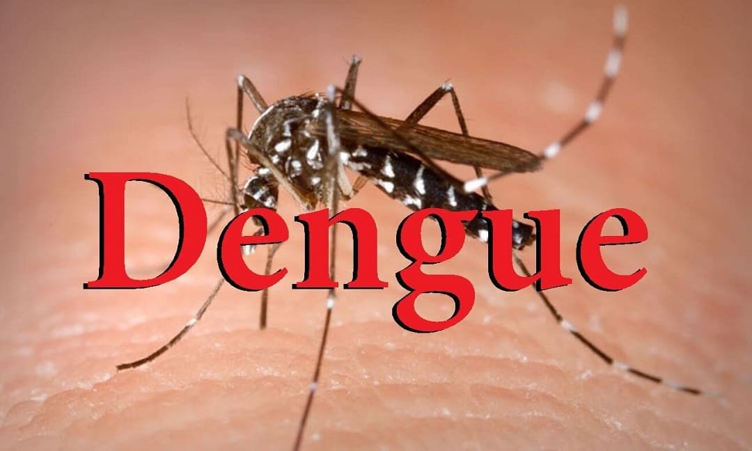 Sốt xuất huyết do chính virus Dengue gây ra