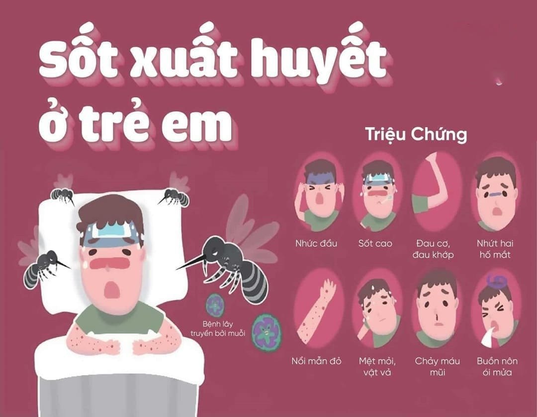 Phòng ngừa sốt xuất huyết như thế nào mới hiệu quả?