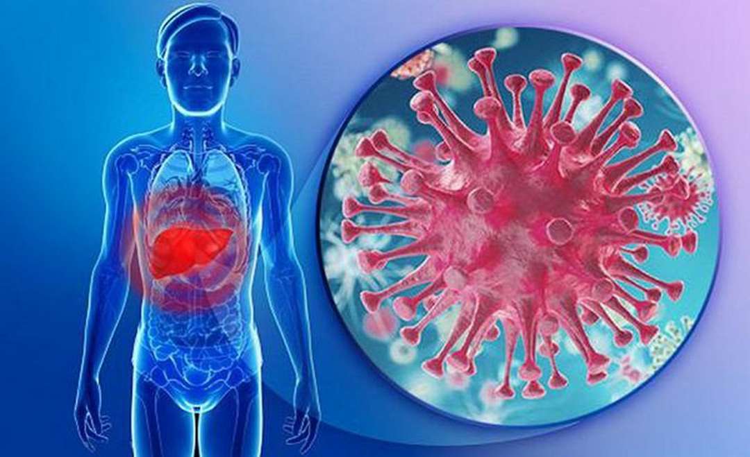 Virus gây bệnh có hại đến gan dẫn đến bệnh men gan cao