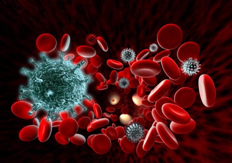 Virus HIV gây giảm hệ miễn dịch của cơ thể